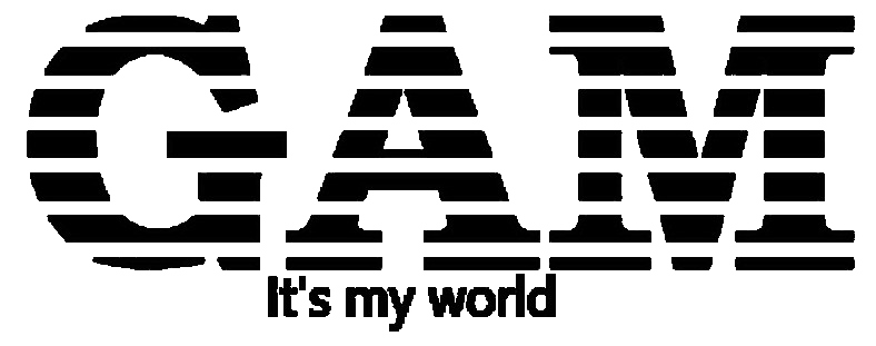 Logo GAM Group